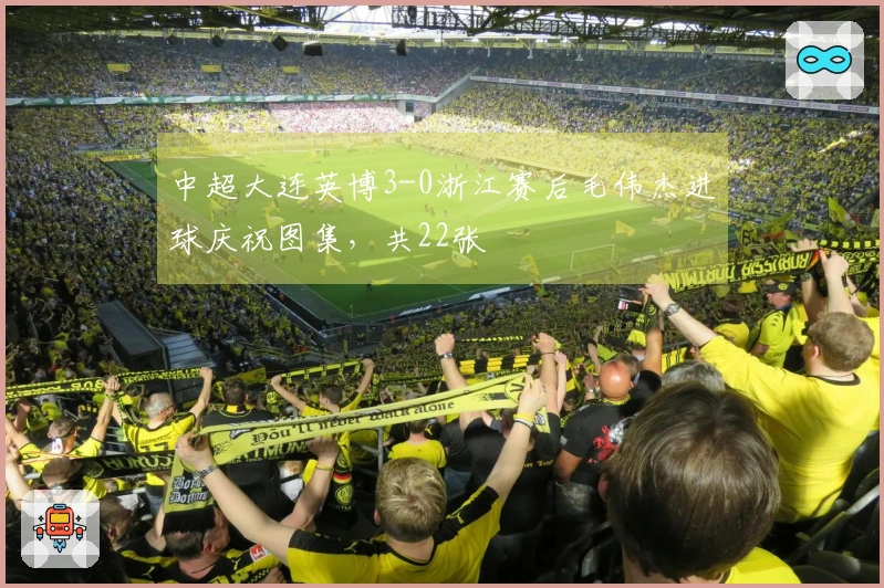 中超大连英博3-0浙江赛后毛伟杰进球庆祝图集，共22张