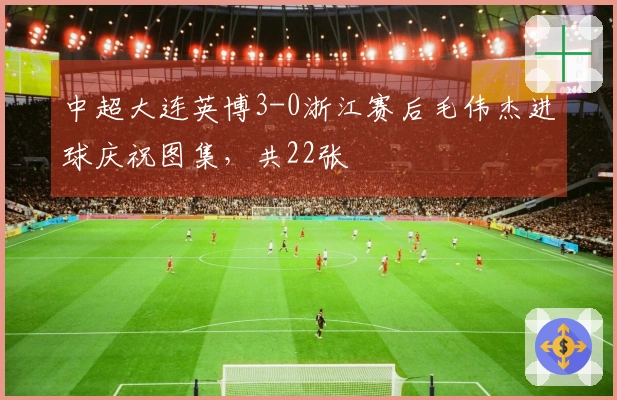 中超大连英博3-0浙江赛后毛伟杰进球庆祝图集，共22张
